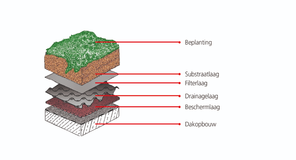 opbouw intensief groendak