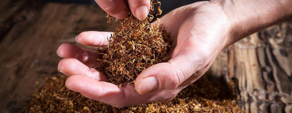 Accijnzen op roltabak