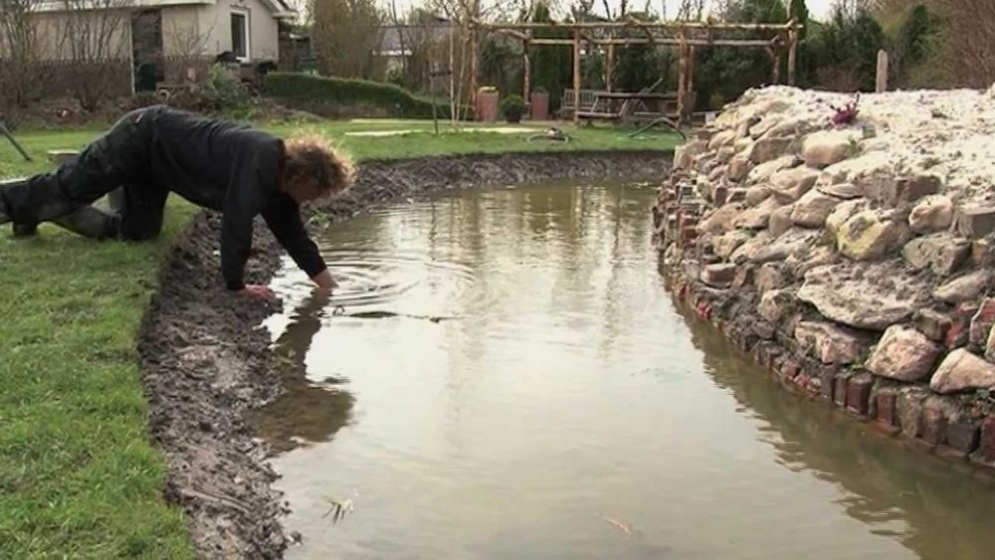 natuurvijver in de vijver