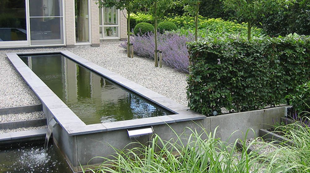 spiegelvijver in de vijver