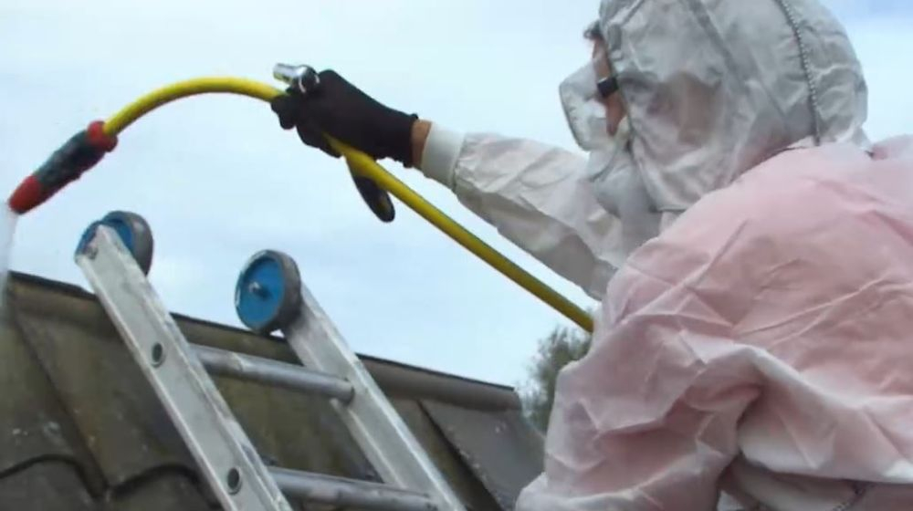 dak asbest tuinhuis renovatie