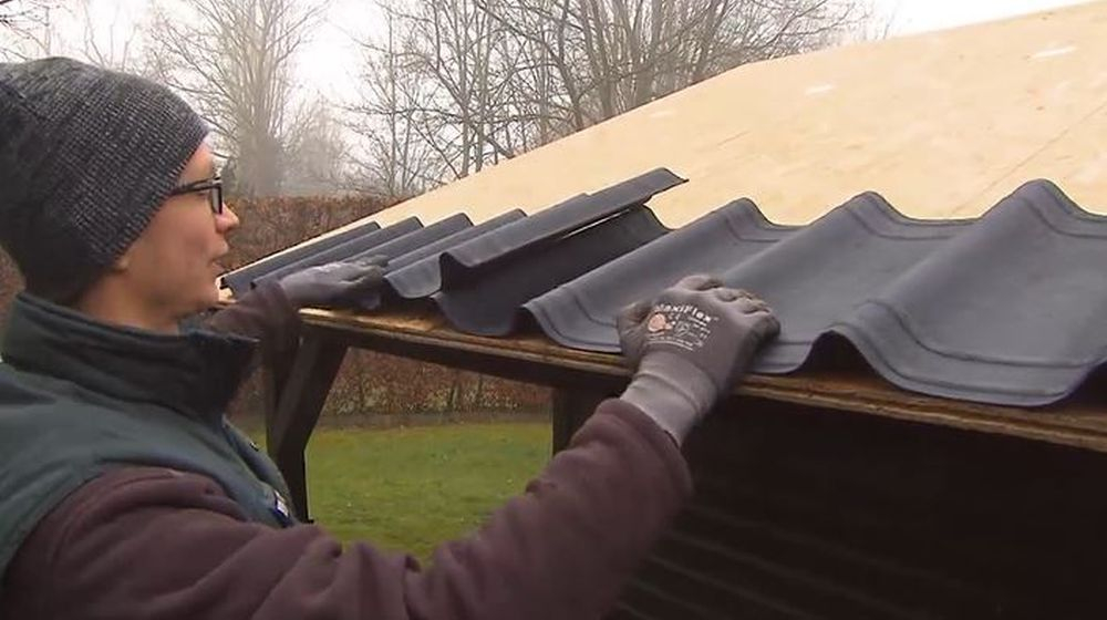 beginpunten tuinhuis renovatie