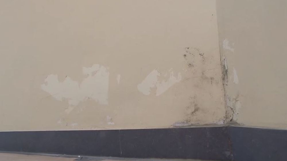 opstijgend vocht muren plafond