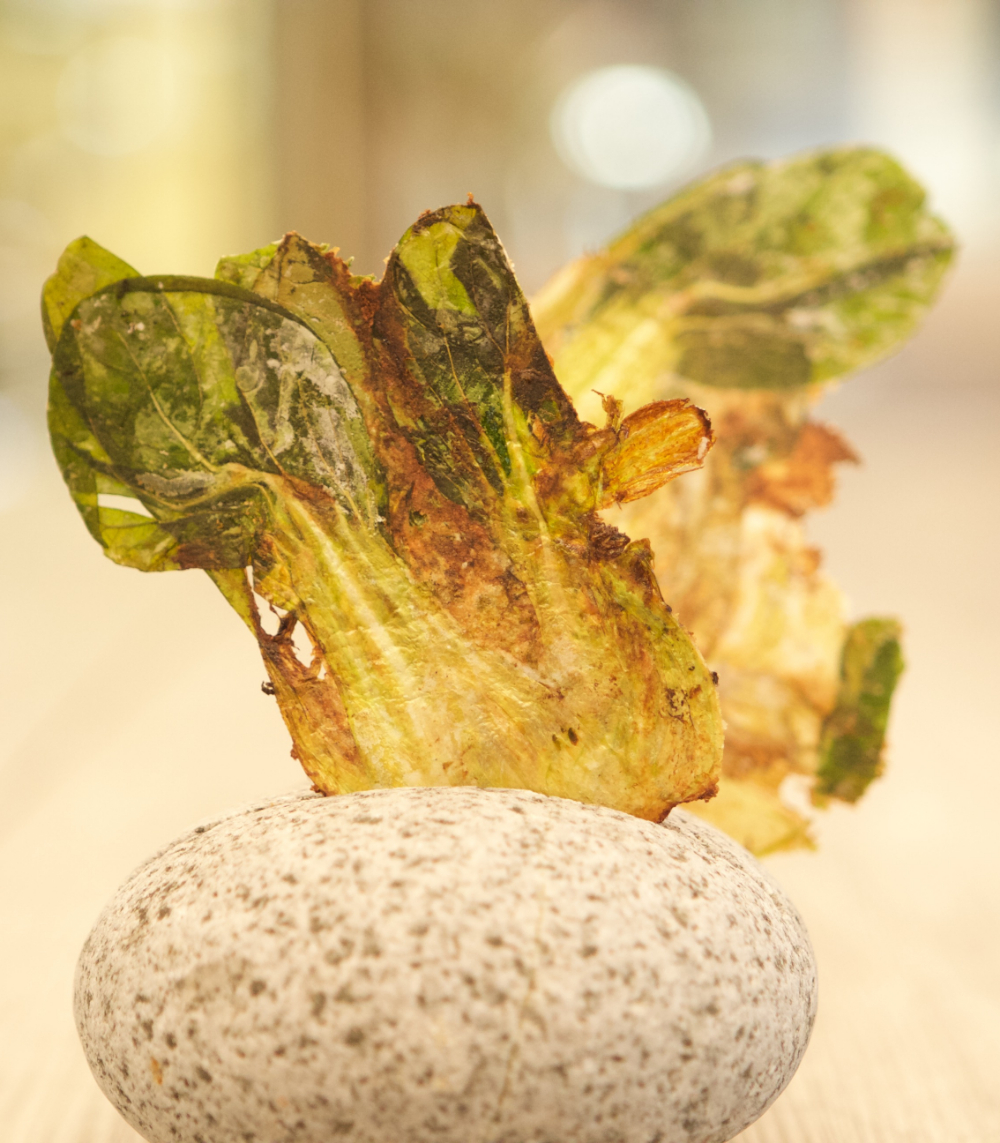 Innovation Award Gault&Millau 2019 squeezer topchef adrià ex-El Bulli Spanje 