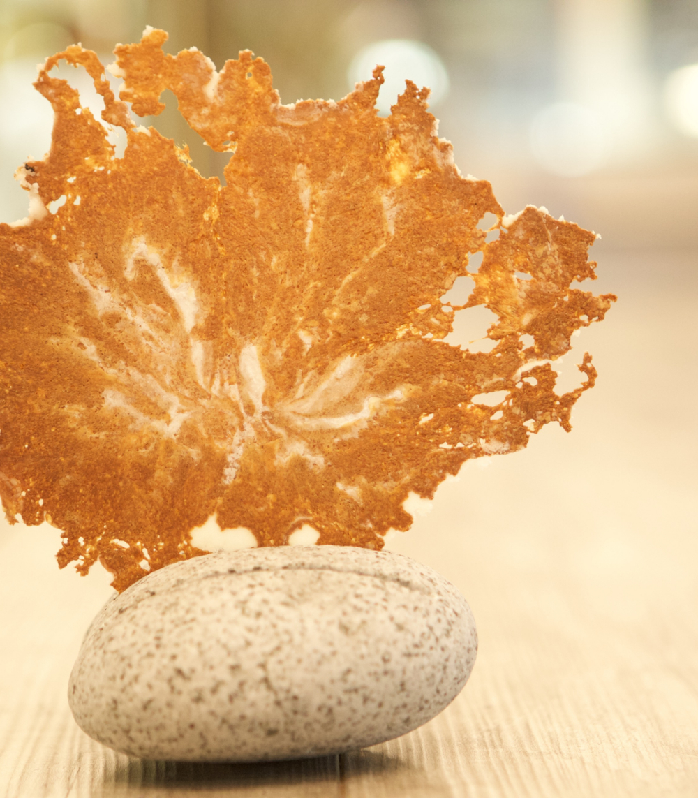 Innovation Award Gault&Millau 2019 squeezer topchef adrià ex-El Bulli Spanje 