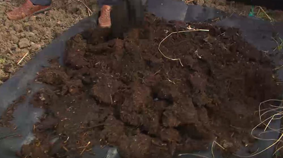 compost composteren tuin
