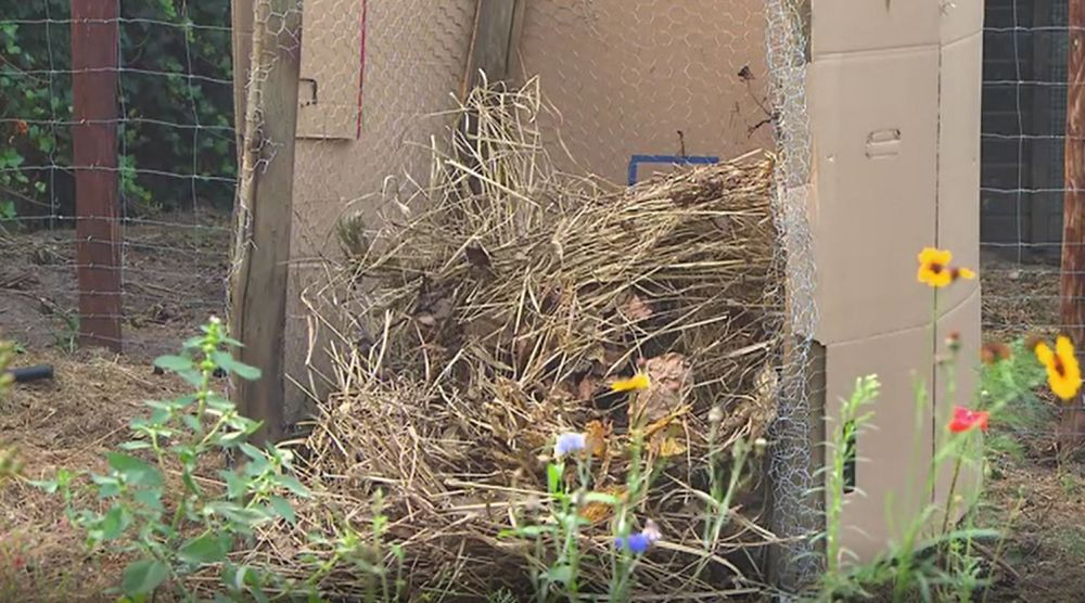 vermijden op de compost