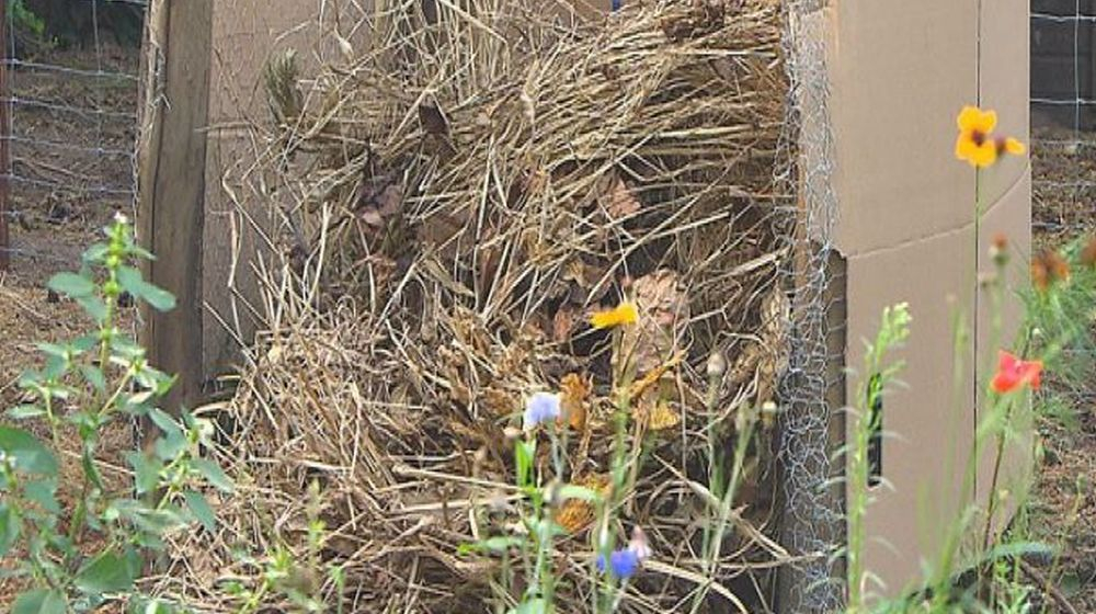 eerste compost COMPOSTINSTALLATIE 