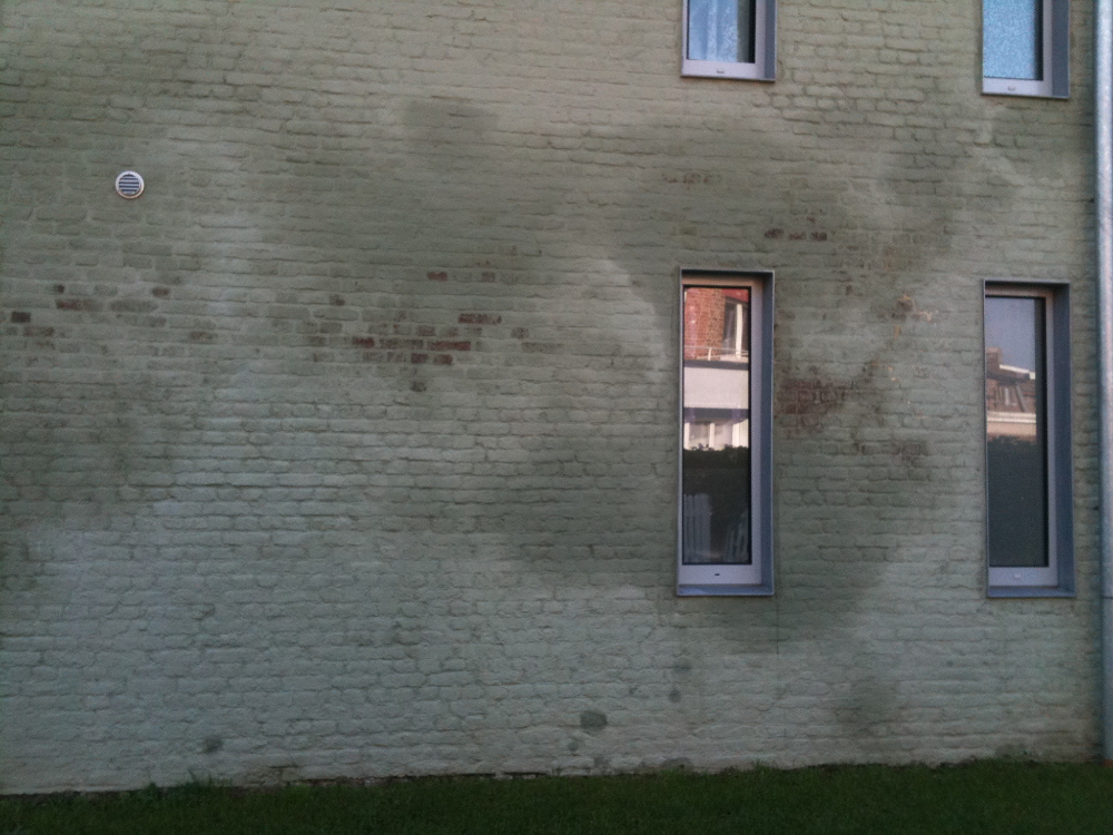vocht