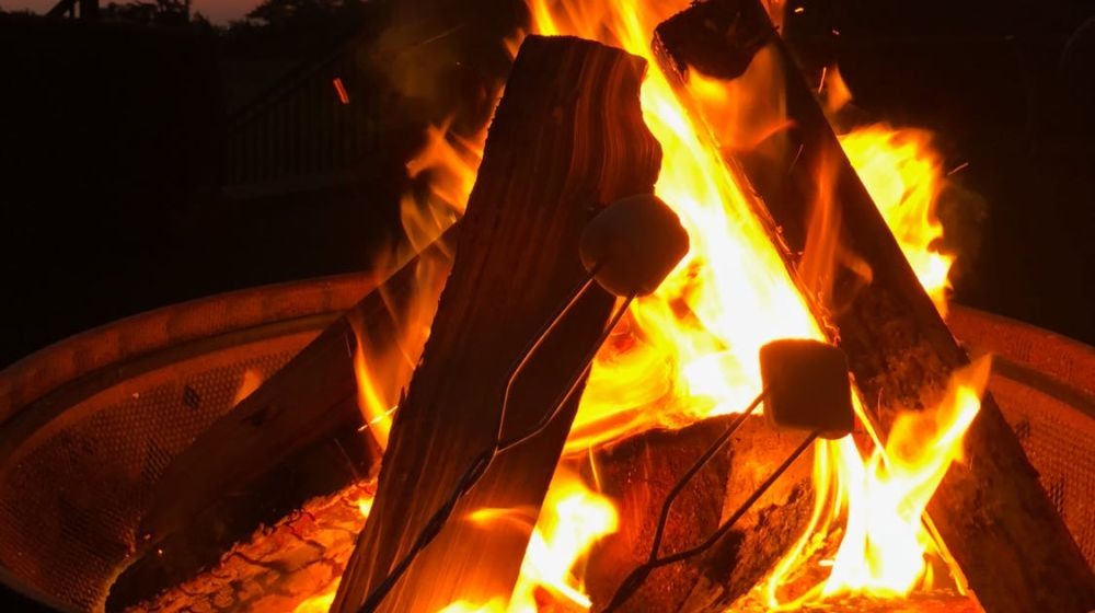Comment choisir votre bois à brûler Dobbit Comment choisir votre bois à brûler Dobbit