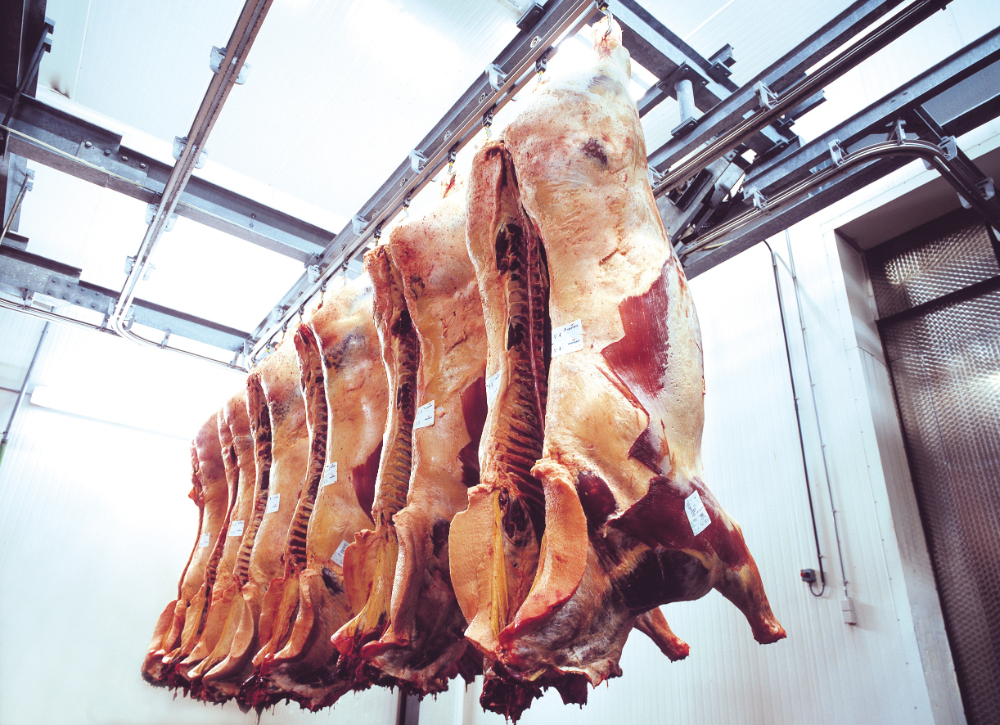 La viande de cheval Dobbit
