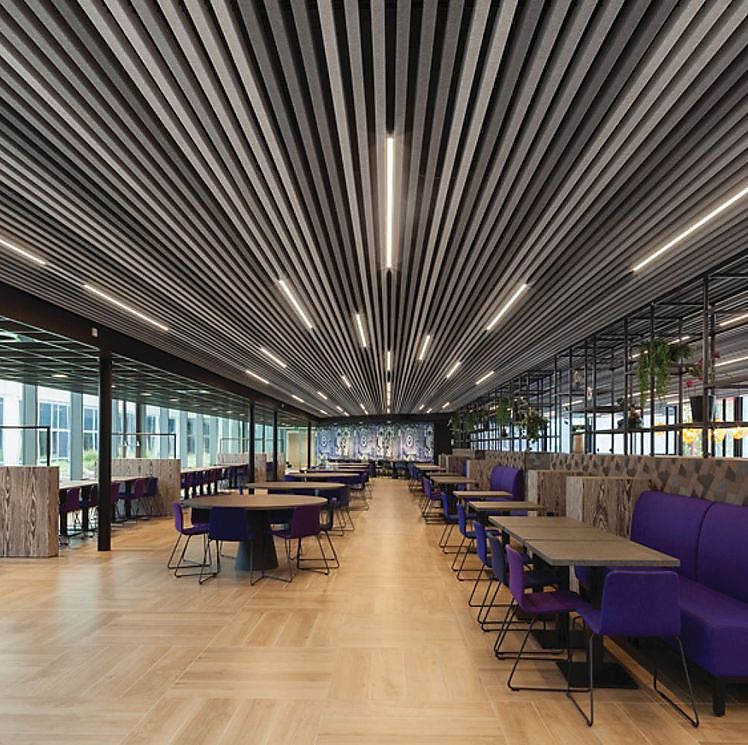 Hunter Douglas Architectural lanceert HeartFelt® Baffleplafonds Dobbit