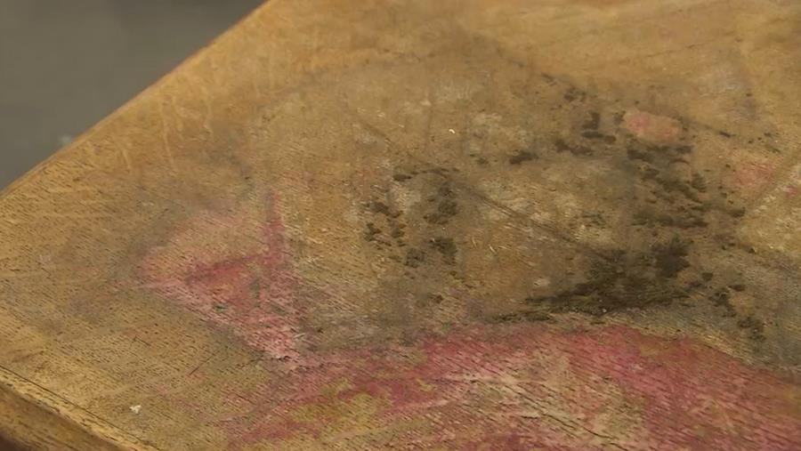 6 frequente problemen met hout en hun oplossingen